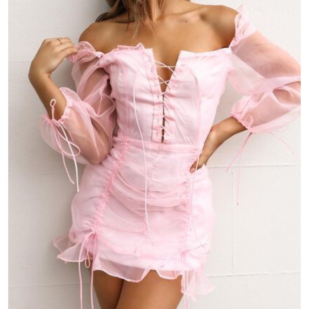 Lioness Feng Shui mini Dress - Pink